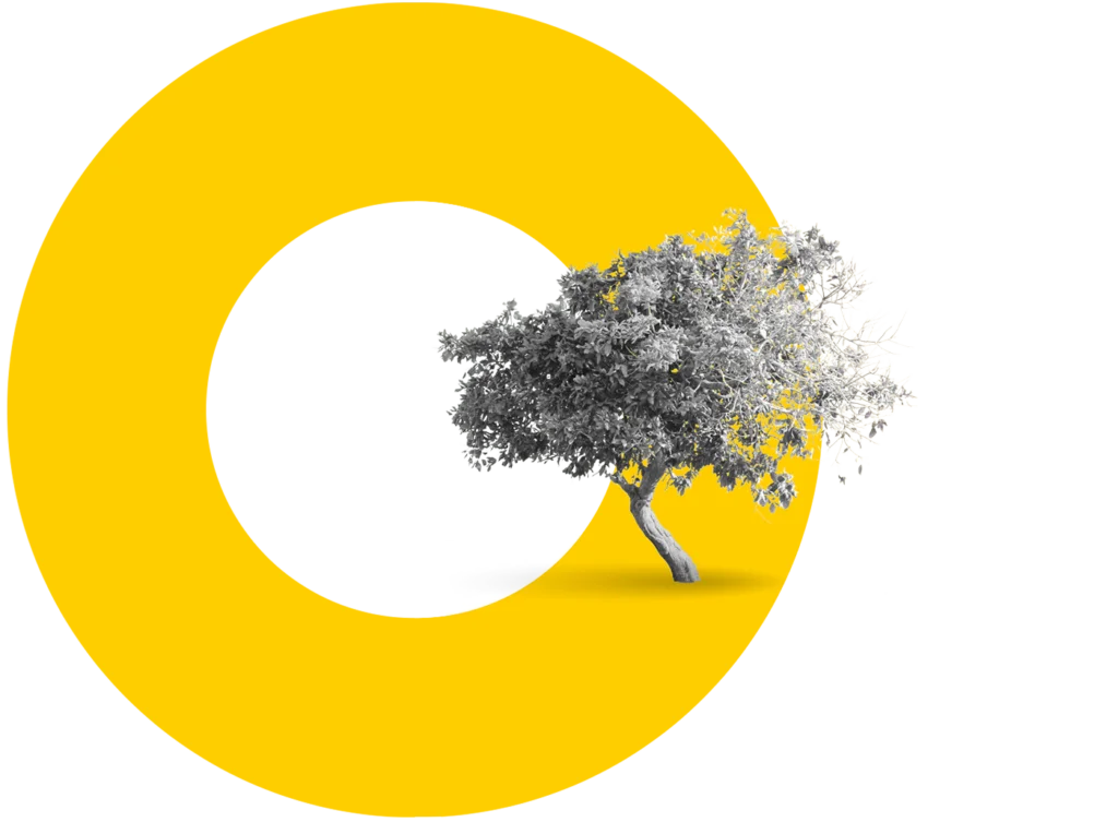 Arsa | doğru derde, doğru değerde - Coresco