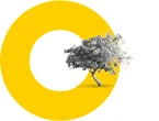Arsa | doğru derde, doğru değerde - Coresco®